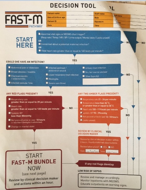 FAST-M decision tool edited